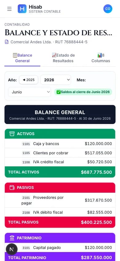 Balance general en Hisab con activos, pasivos y utilidad del ejercicio