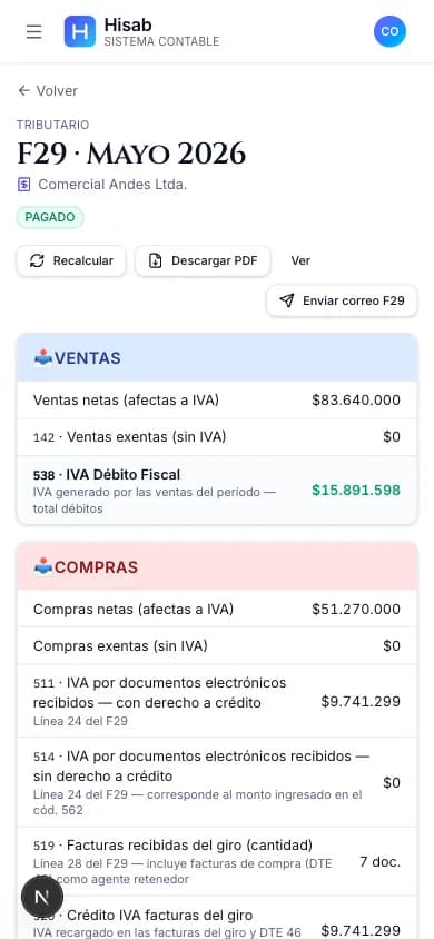 Formulario 29 en Hisab con débito, crédito y remanente